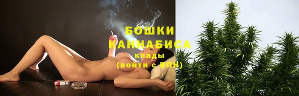 дживик Верхний Тагил