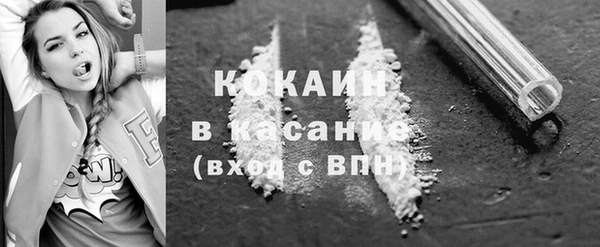 дживик Верхний Тагил