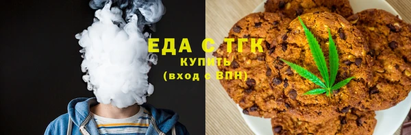 дживик Верхний Тагил
