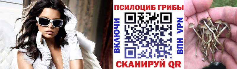 Галлюциногенные грибы мицелий  Гаврилов Посад 